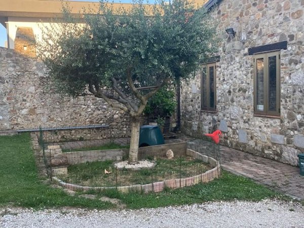 casa indipendente in vendita a Pozzuolo del Friuli