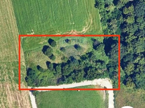 terreno agricolo in vendita a Pradamano