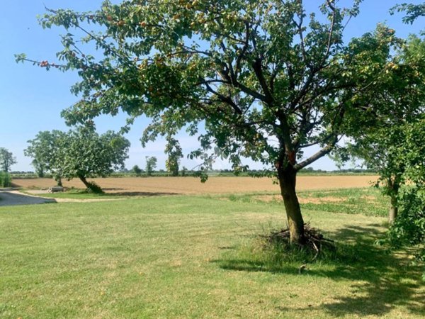 terreno agricolo in vendita a Pradamano in zona Lovaria