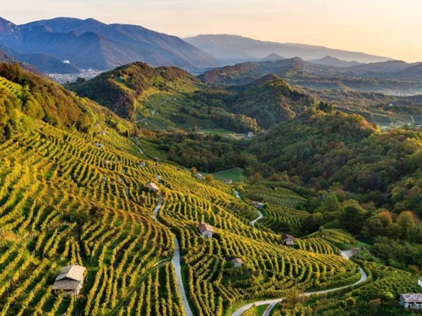 terreno agricolo in vendita a Pradamano