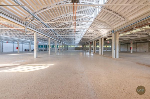 capannone in vendita a Pradamano