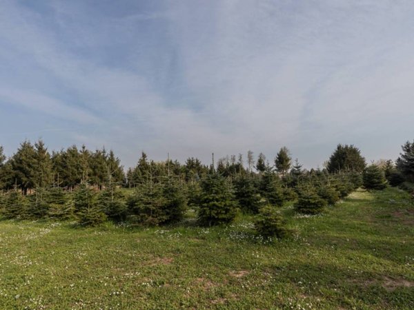 negozio in vendita a Pradamano