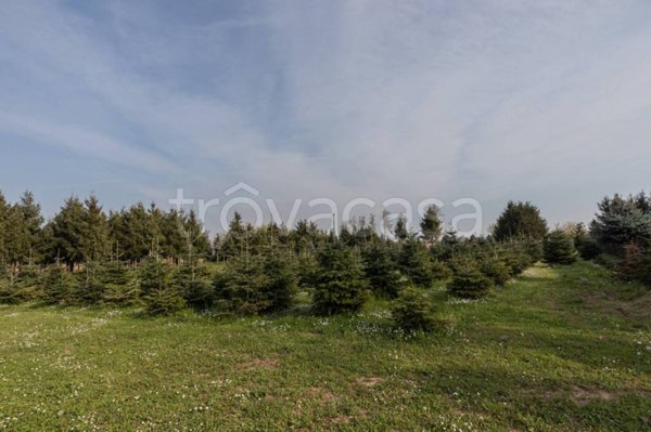 azienda agricola in vendita a Pradamano in zona Lovaria