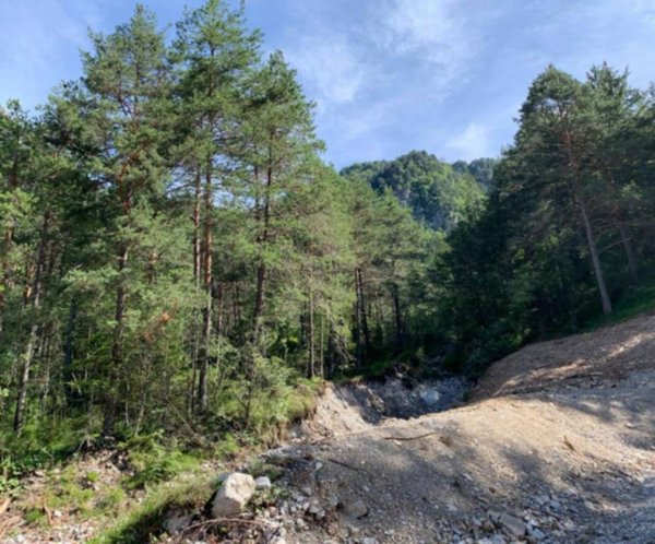 terreno agricolo in vendita a Prato Carnico