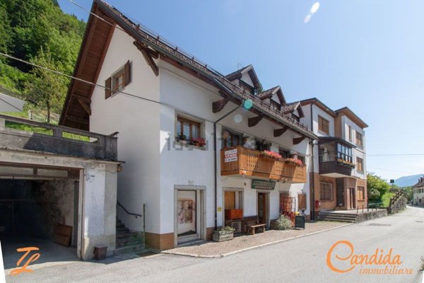 casa indipendente in vendita a Prato Carnico in zona Pesariis