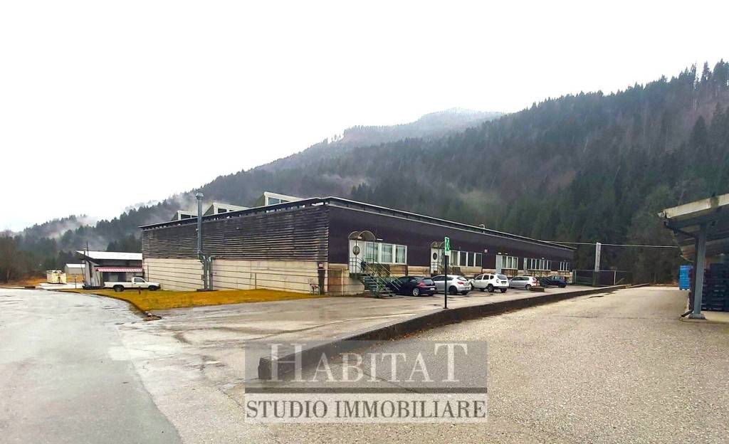 locale commerciale in vendita a Prato Carnico