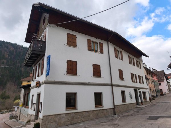 appartamento in vendita a Prato Carnico in zona Pesariis