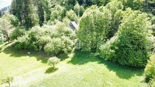 appartamento in vendita a Prato Carnico