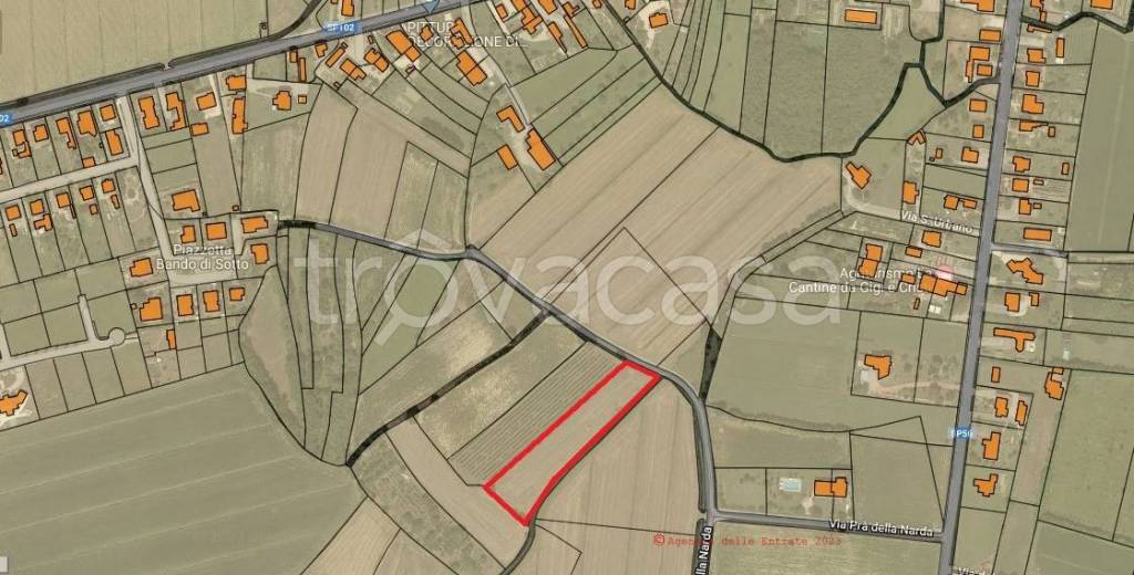 terreno agricolo in vendita a Precenicco