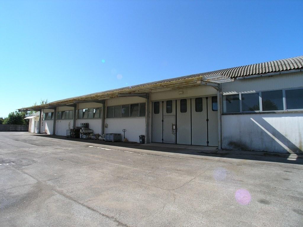 appartamento in vendita a Precenicco