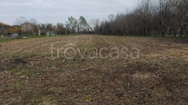 terreno agricolo in vendita a Precenicco