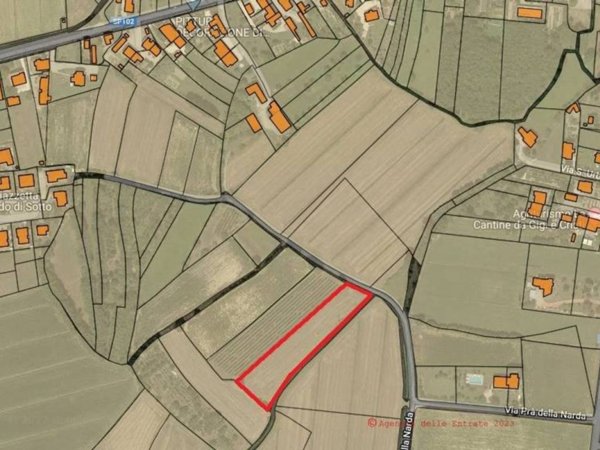 terreno agricolo in vendita a Precenicco