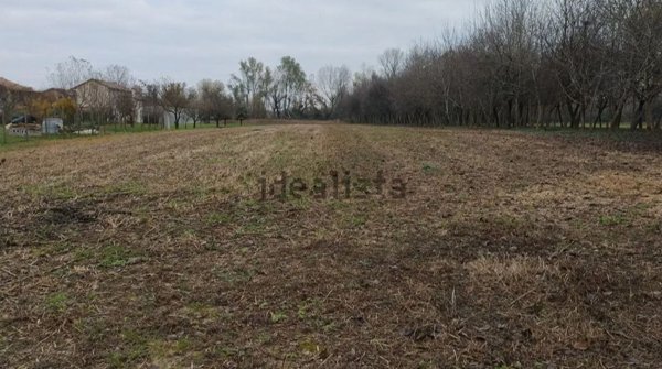 casa indipendente in vendita a Precenicco