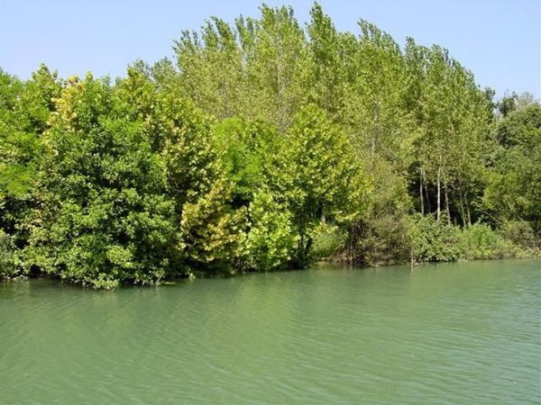 terreno edificabile in vendita a Precenicco