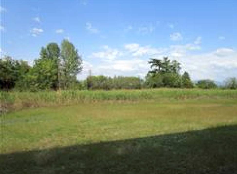 terreno agricolo in vendita a Premariacco
