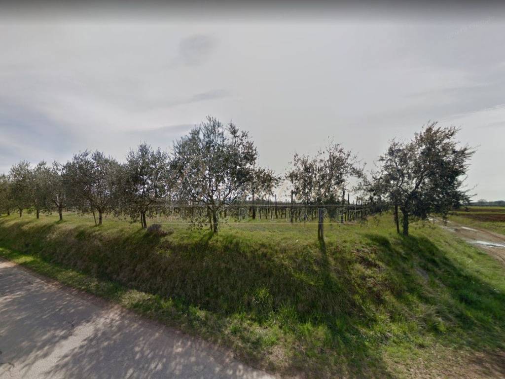 terreno edificabile in vendita a Premariacco