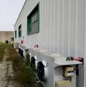 appartamento in vendita a Premariacco