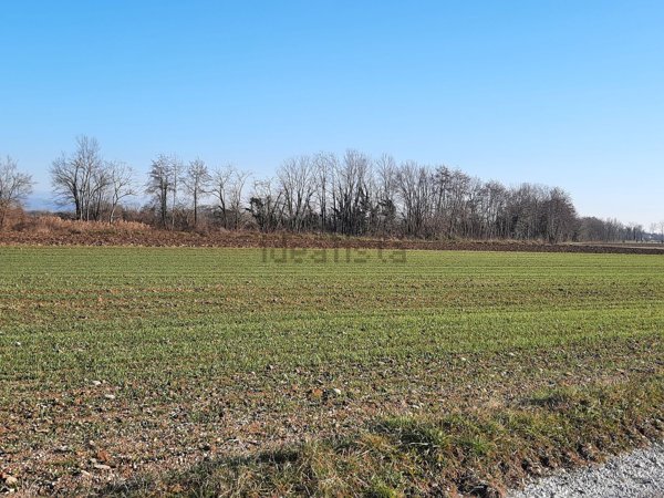 villetta a schiera in vendita a Premariacco