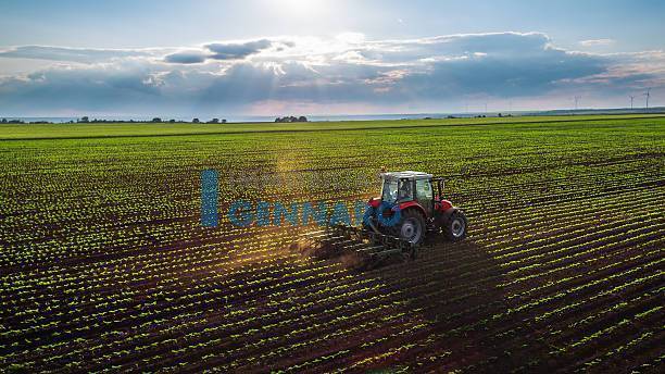 terreno agricolo in vendita a Premariacco