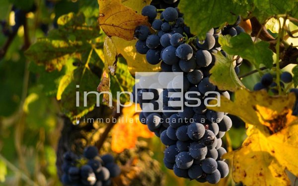 appartamento in vendita a Prepotto