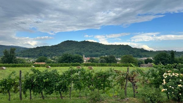 terreno agricolo in vendita a Prepotto in zona Poianis