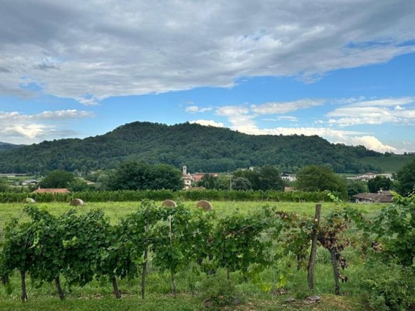 terreno agricolo in vendita a Prepotto in zona Poianis