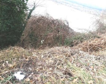 terreno edificabile in vendita a Ragogna