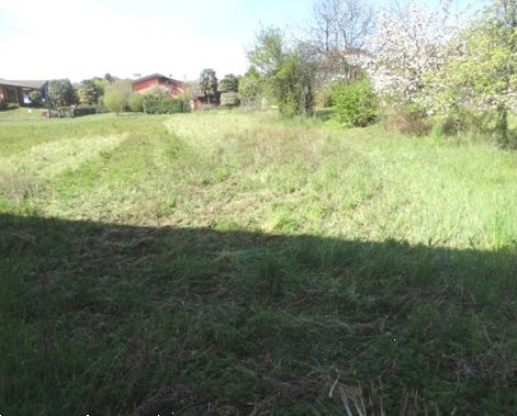terreno edificabile in vendita a Ragogna in zona San Giacomo
