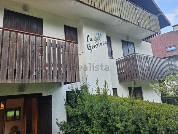 appartamento in vendita a Ravascletto