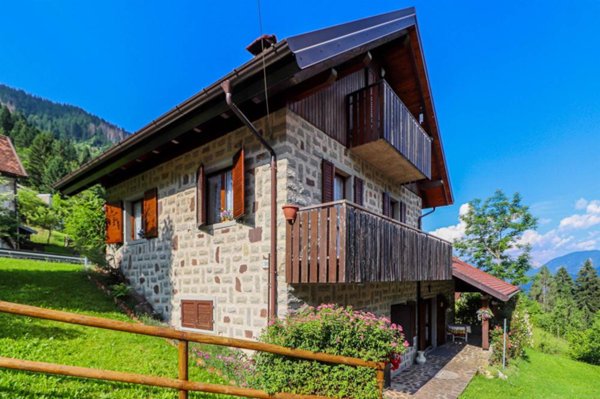 casa indipendente in vendita a Ravascletto