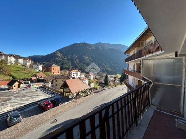 appartamento in vendita a Ravascletto