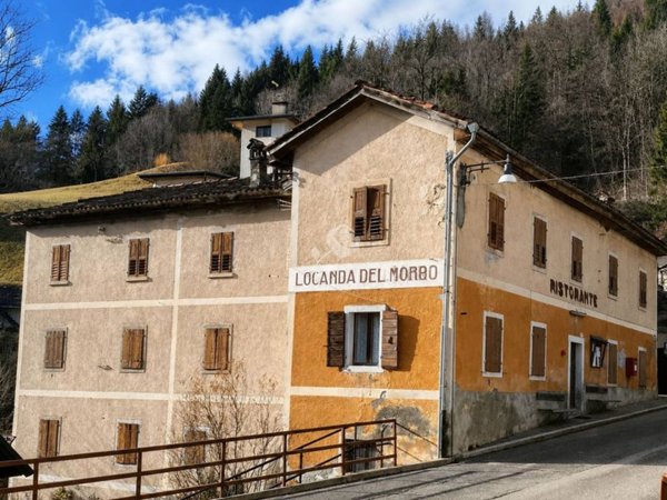 intera palazzina in vendita a Ravascletto in zona Zovello