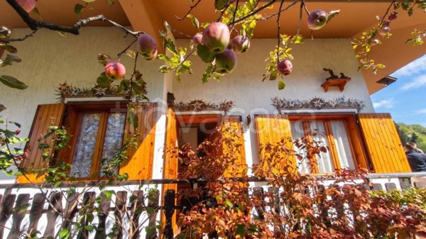 casa indipendente in vendita a Ravascletto