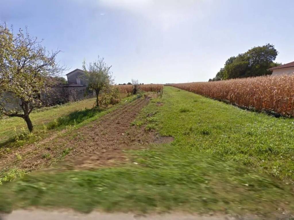 terreno agricolo in vendita a Reana del Rojale