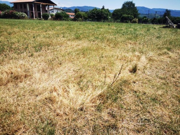 terreno agricolo in vendita a Reana del Rojale in zona Reana