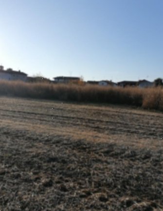 terreno edificabile in vendita a Reana del Rojale