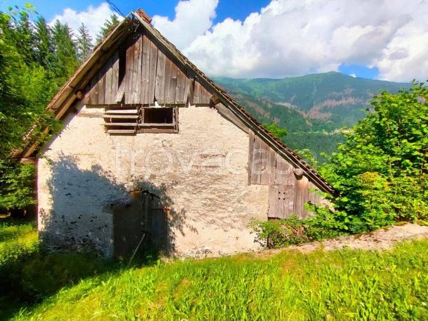 casa indipendente in vendita a Rigolato in zona Ludaria