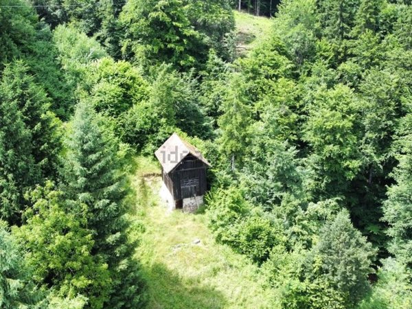 appartamento in vendita a Rigolato in zona Ludaria