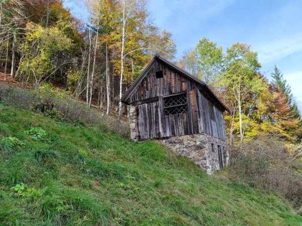 appartamento in vendita a Rigolato in zona Valpicetto