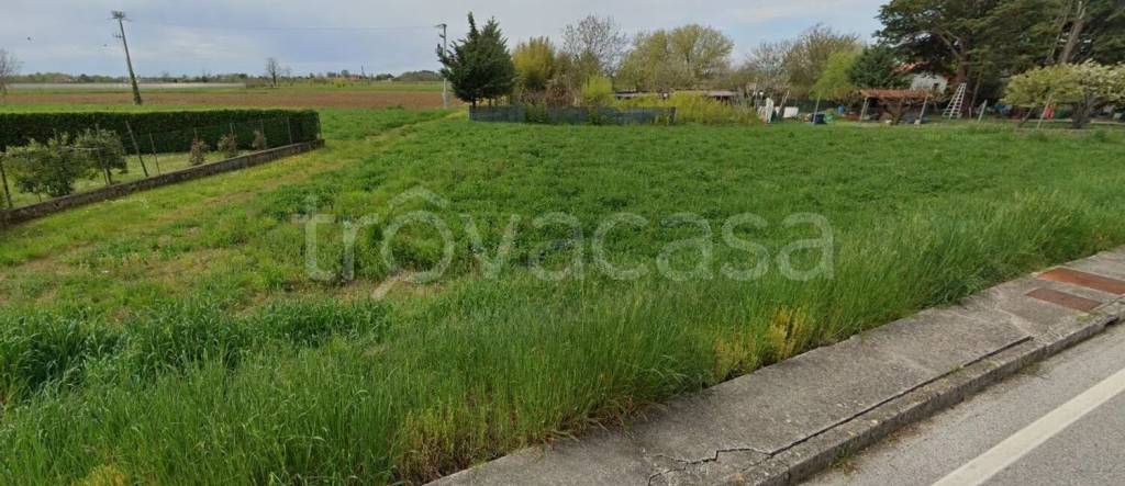 terreno agricolo in vendita a Ruda