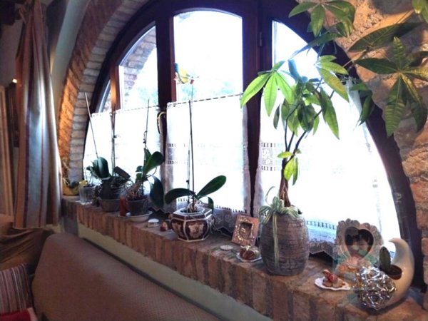 casa indipendente in vendita a Ruda