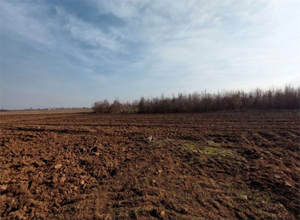 terreno agricolo in vendita a San Daniele del Friuli