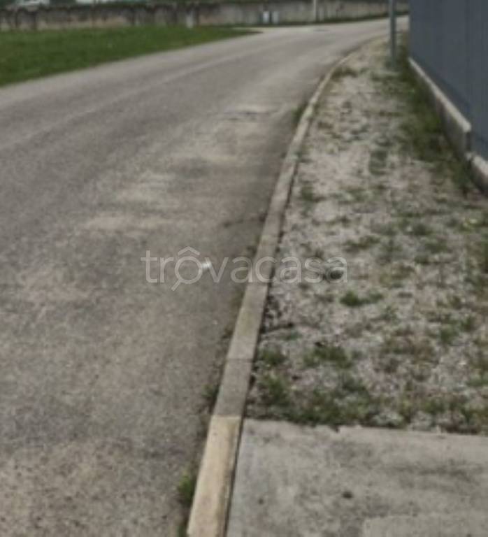 terreno agricolo in vendita a San Daniele del Friuli