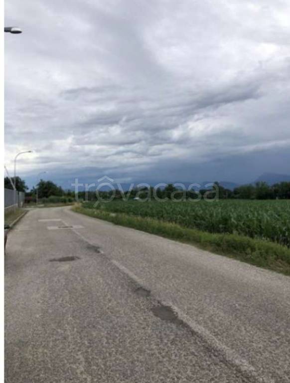 terreno agricolo in vendita a San Daniele del Friuli