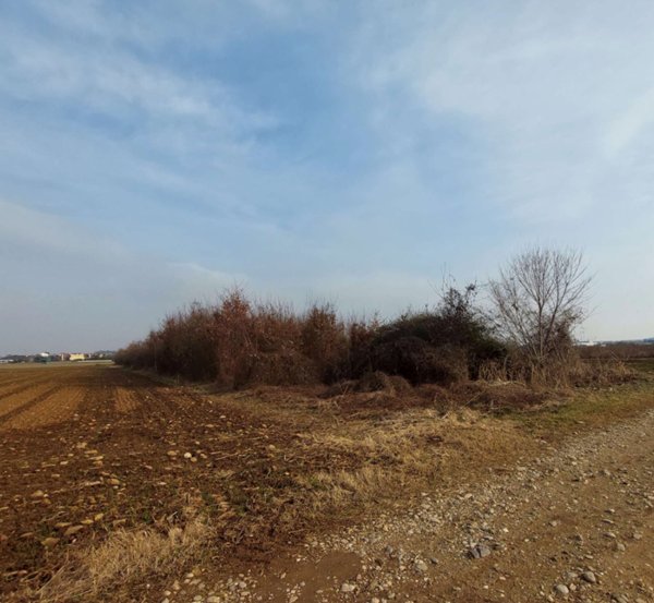 terreno agricolo in vendita a San Daniele del Friuli