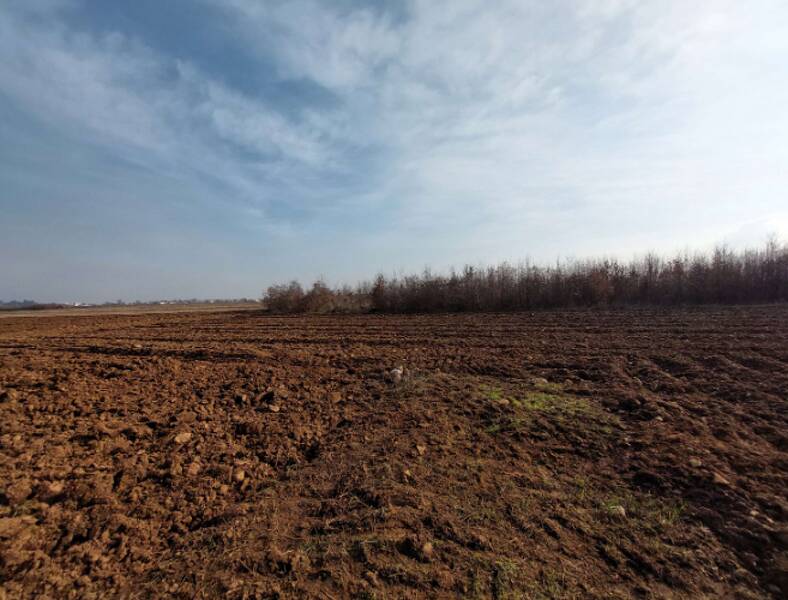 terreno agricolo in vendita a San Daniele del Friuli