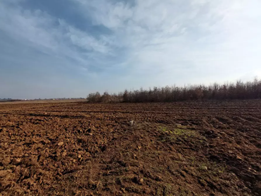 terreno agricolo in vendita a San Daniele del Friuli