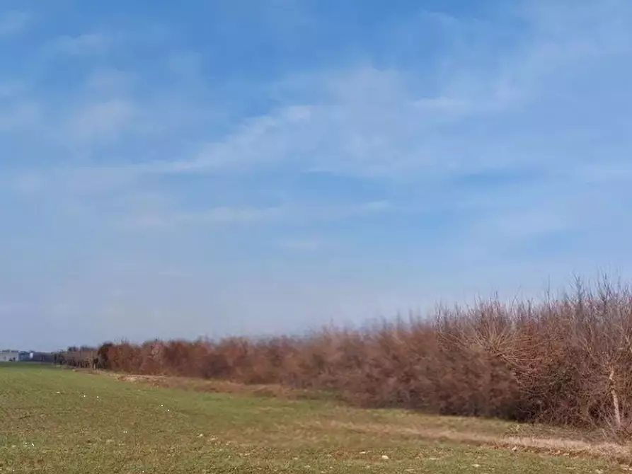terreno agricolo in vendita a San Daniele del Friuli