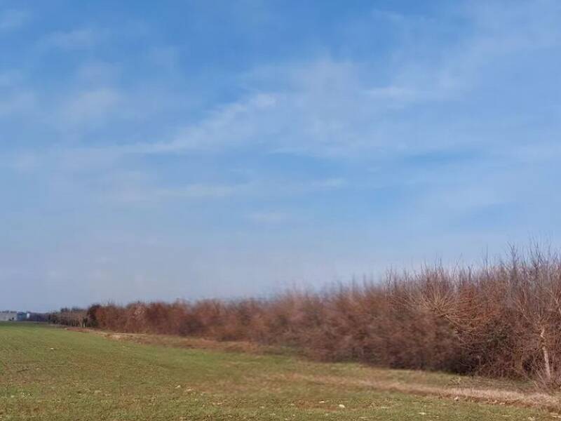 terreno agricolo in vendita a San Daniele del Friuli