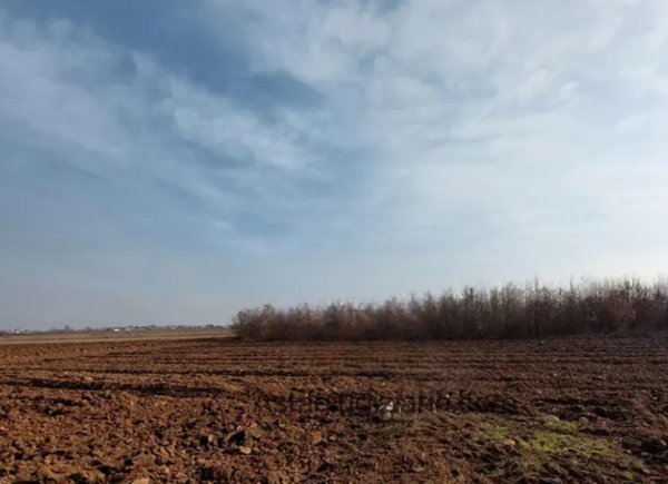 terreno agricolo in vendita a San Daniele del Friuli